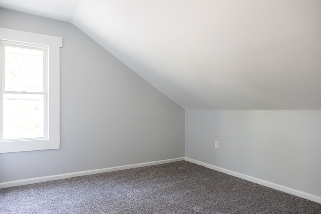 additional living space with carpet and vaulted ceiling