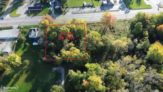 8401 N Saginaw Rd, Mount Morris, MI 48458 - photo 3