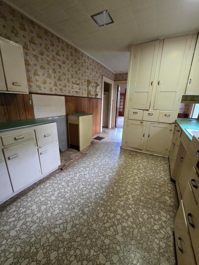 kitchen featuring wooden walls