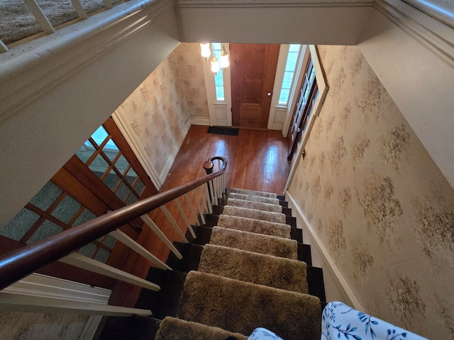 stairs with wood-type flooring