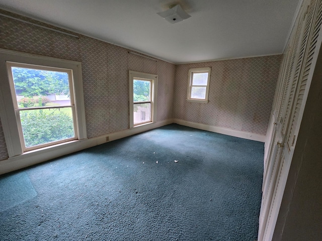 spare room featuring carpet floors and ornamental molding