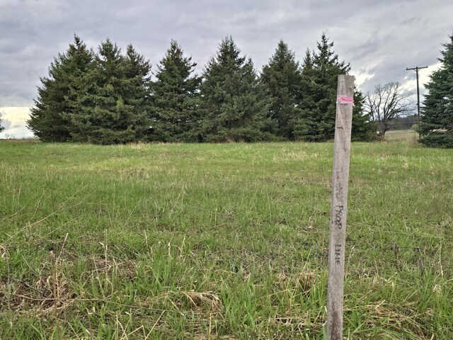 6336 Mast Rd, Dexter, MI 48130 - view of yard