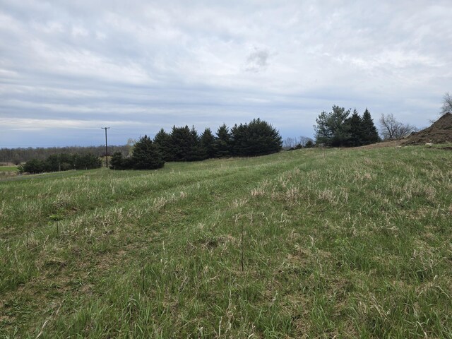 6336 Mast Rd, Dexter, MI 48130 - view of local wilderness with rural landscape