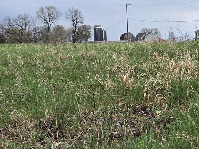 6336 Mast Rd, Dexter, MI 48130 - view of undeveloped land