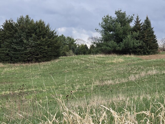 6336 Mast Rd, Dexter, MI 48130 - view of nature