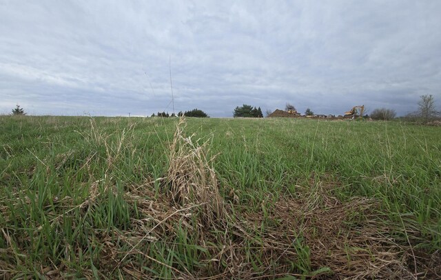 6336 Mast Rd, Dexter, MI 48130 - view of local wilderness featuring rural landscape