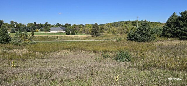 6336 Mast Rd, Dexter, MI 48130 - view of wooded area
