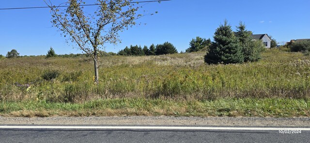 6336 Mast Rd, Dexter, MI 48130 - view of nature
