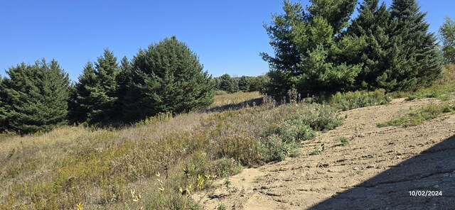 6336 Mast Rd, Dexter, MI 48130 - view of undeveloped land