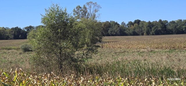 6336 Mast Rd, Dexter, MI 48130 - view of tree filled area with a rural view