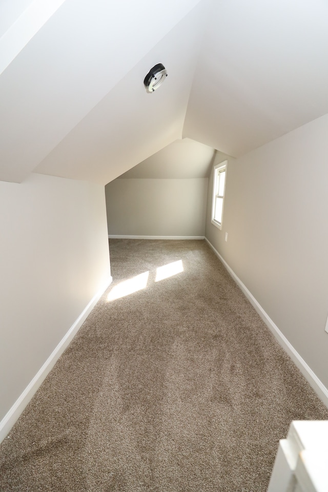 additional living space with carpet and lofted ceiling