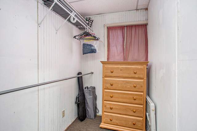 spacious closet with carpet and radiator heating unit