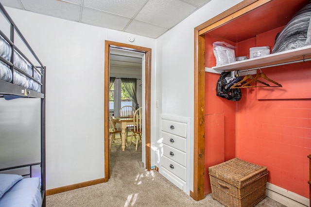 spacious closet featuring a drop ceiling and light colored carpet