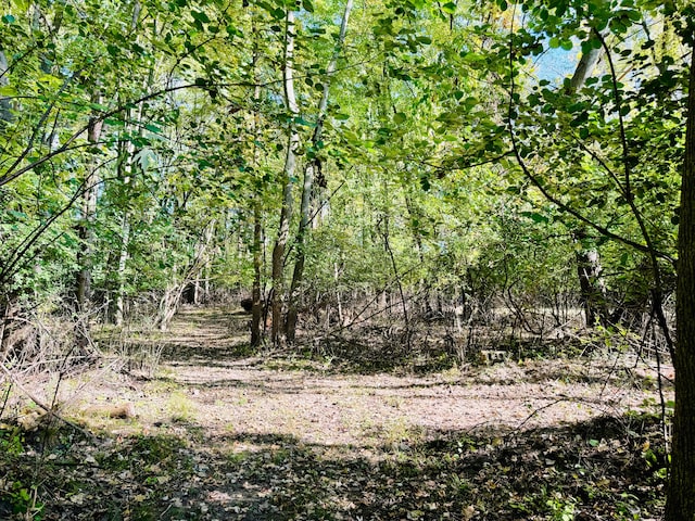 view of landscape