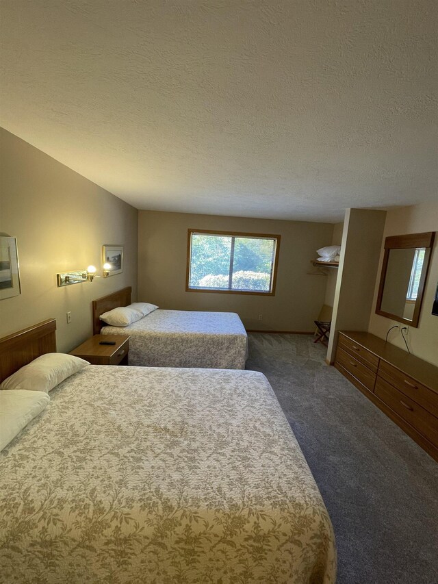 737 Maplewood Ln, Kewadin, MI 49648 - carpeted bedroom featuring a textured ceiling