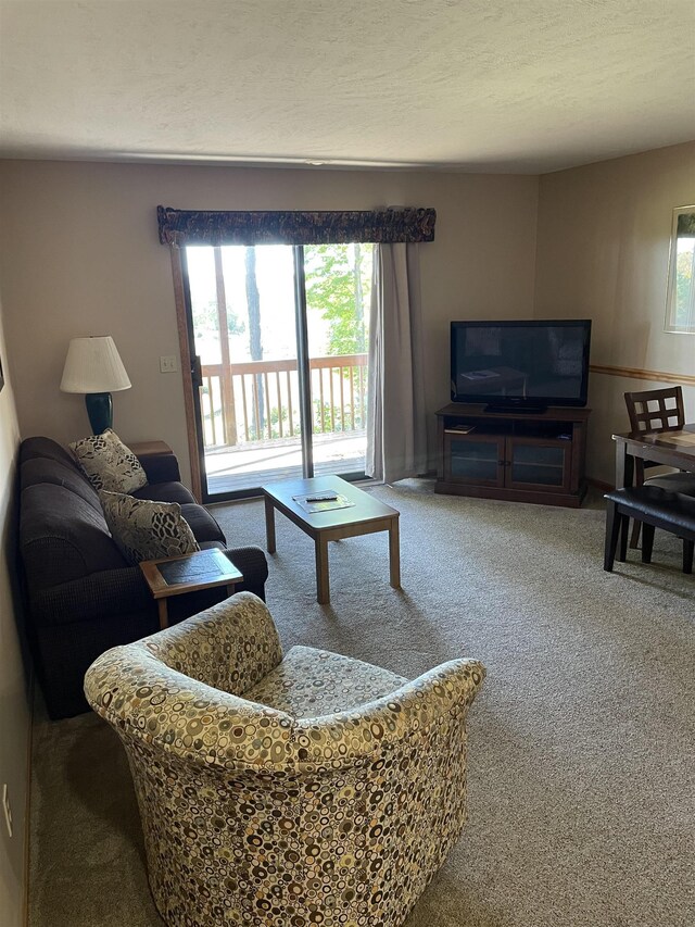 737 Maplewood Ln, Kewadin, MI 49648 - living area featuring plenty of natural light and carpet