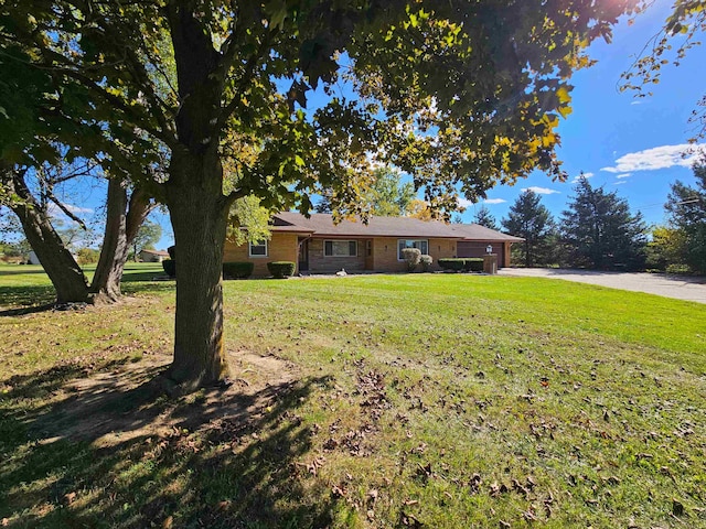 ranch-style home with a front lawn