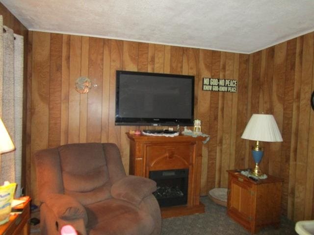 living room with wooden walls