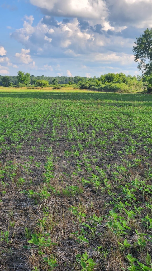 view of nature with a rural view