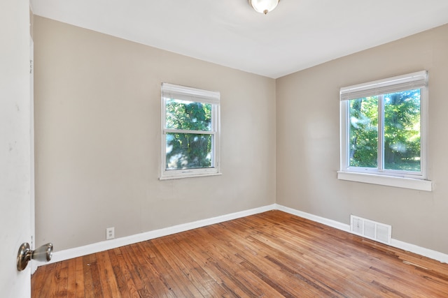 spare room featuring plenty of natural light and wood-type flooring