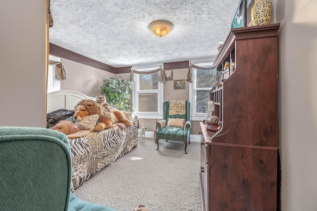 interior space with a textured ceiling