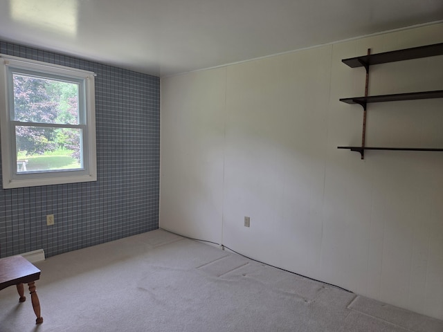 4085 N Cedar Lake Rd, Edmore, MI 48829 - spare room with carpet flooring