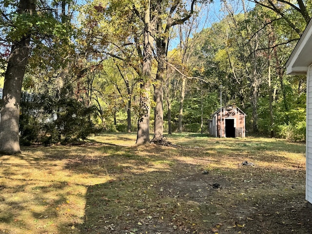 view of yard with a shed