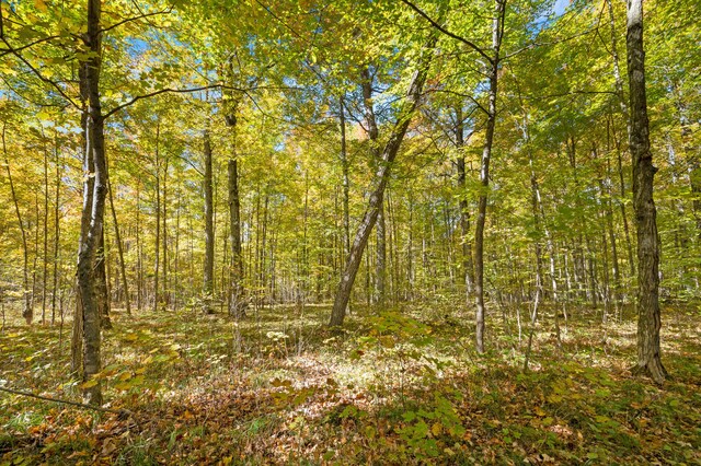 21598 Sylvan Rd, Reed City, MI 49677 - view of tree filled area
