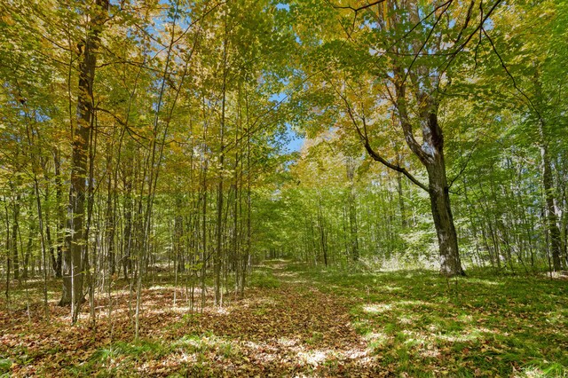 21598 Sylvan Rd, Reed City, MI 49677 - view of wooded area