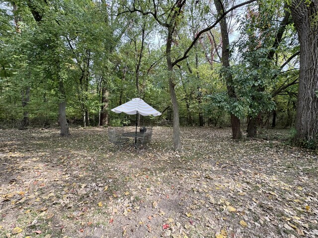 13067 Red Arrow Hwy, Sawyer, MI 49125 - view of yard