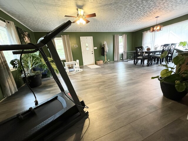 13067 Red Arrow Hwy, Sawyer, MI 49125 - exercise room with a chandelier, wood finished floors, and a ceiling fan
