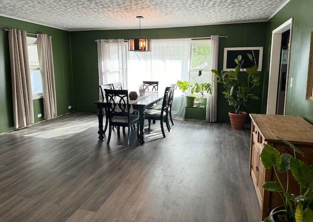 dining space with dark hardwood / wood-style floors