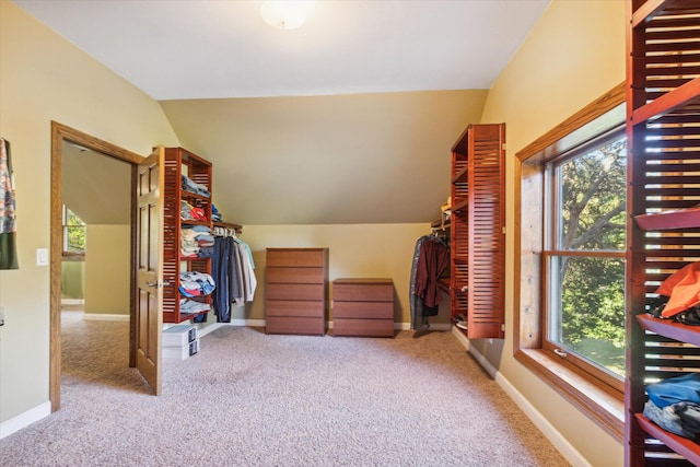 interior space featuring multiple windows, carpet floors, and lofted ceiling