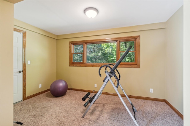 exercise room featuring carpet flooring