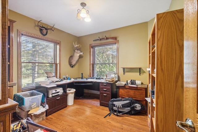 office featuring light hardwood / wood-style floors and plenty of natural light