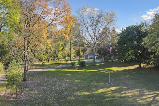 view of community with a lawn