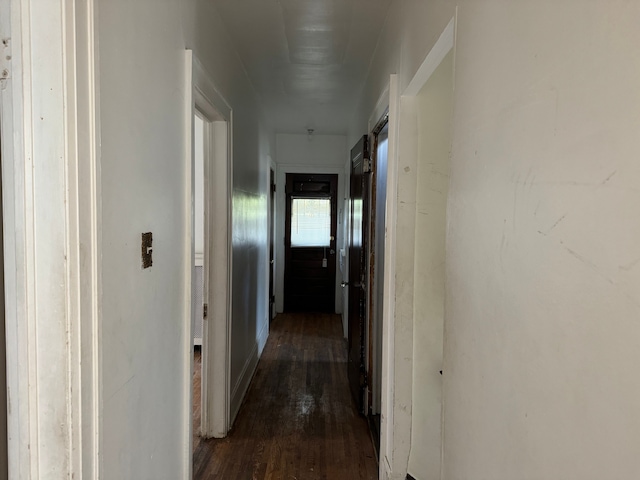 hallway featuring dark hardwood / wood-style flooring