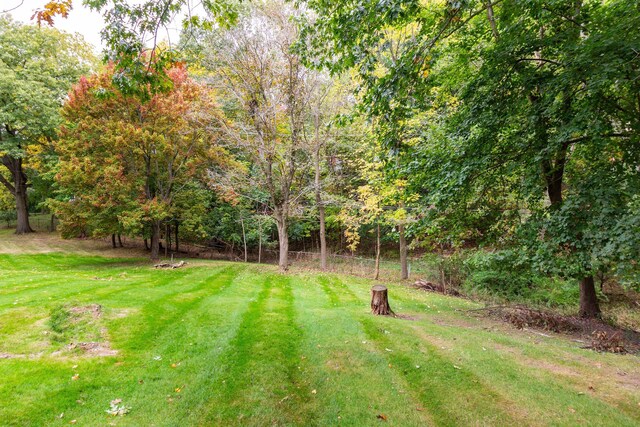 4345 Pine Tree Trl, Bloomfield Hills, MI 48302 - view of yard