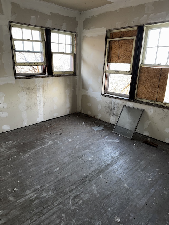 empty room with hardwood / wood-style floors and a wealth of natural light