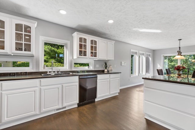 kitchen featuring white cabinetry, plenty of natural light, pendant lighting, and black dishwasher