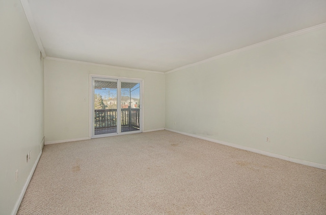 carpeted spare room featuring ornamental molding