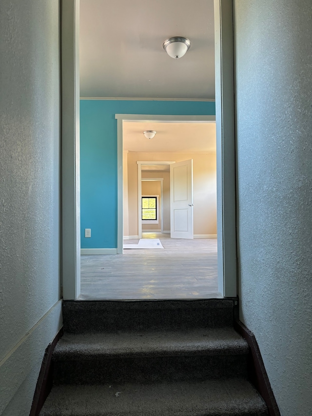 stairway with a textured wall, baseboards, and wood finished floors