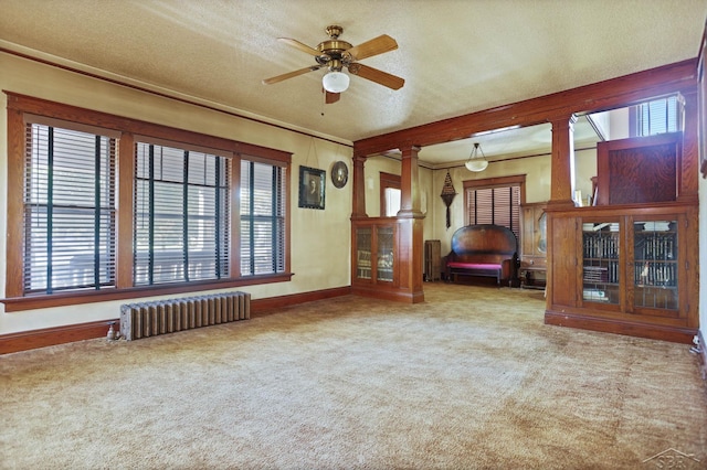 interior space featuring decorative columns, radiator heating unit, and a healthy amount of sunlight