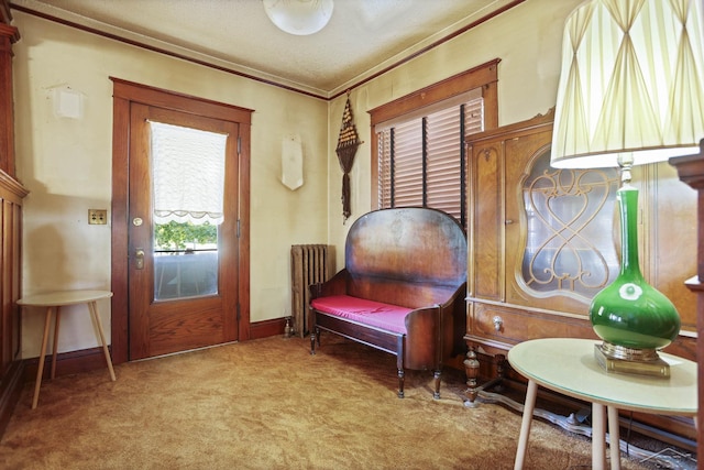 sitting room featuring a textured ceiling, carpet floors, crown molding, and radiator