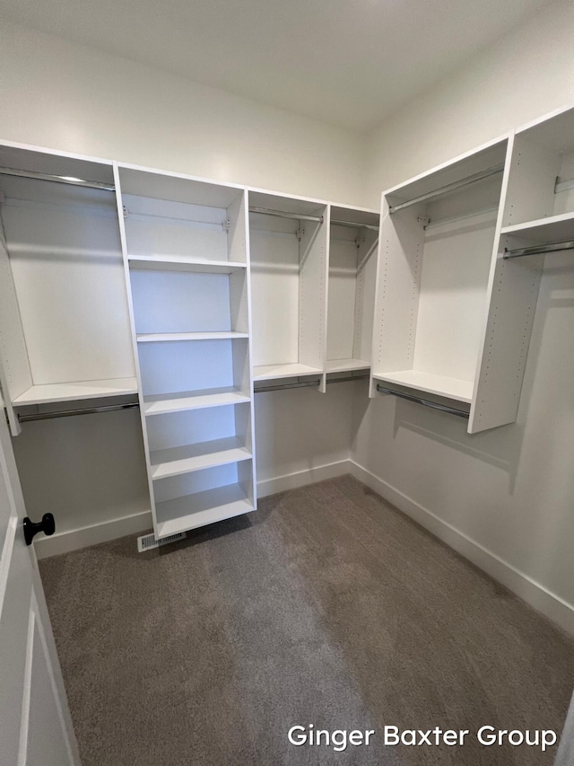 walk in closet featuring dark colored carpet