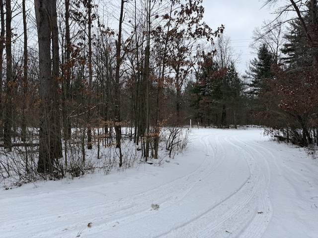 view of road