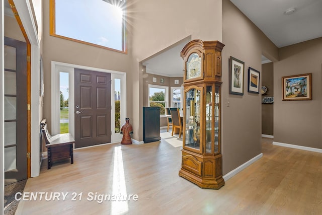 foyer entrance featuring a high ceiling and light hardwood / wood-style flooring