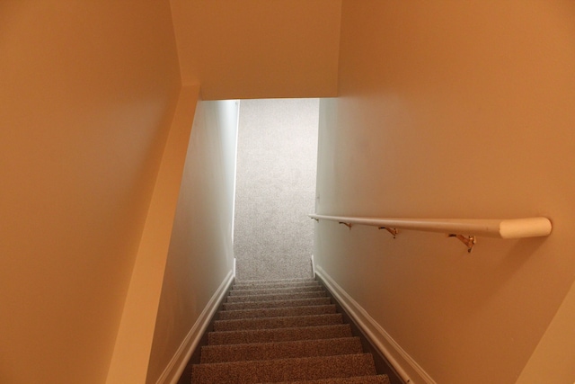 stairway featuring carpet