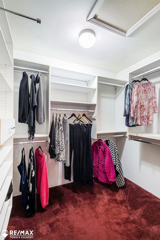 spacious closet with dark colored carpet