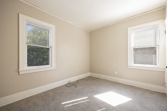 carpeted empty room with crown molding